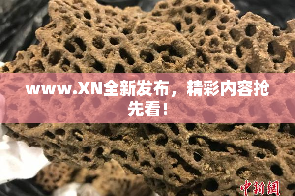 www.XN全新发布，精彩内容抢先看！