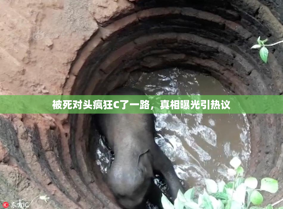 被死对头疯狂C了一路，真相曝光引热议