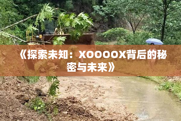 《探索未知：XOOOOX背后的秘密与未来》