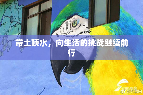 带土顶水，向生活的挑战继续前行
