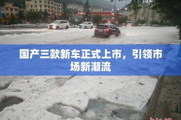 国产三款新车正式上市，引领市场新潮流
