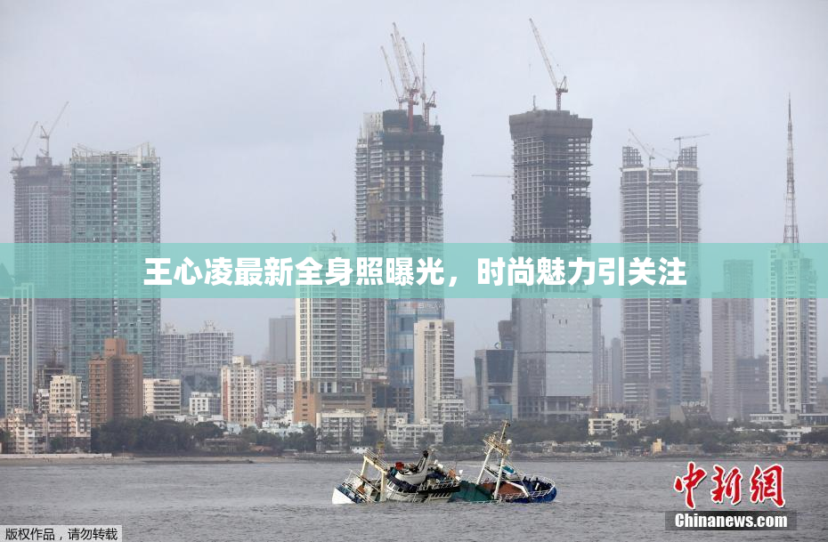 王心凌最新全身照曝光，时尚魅力引关注