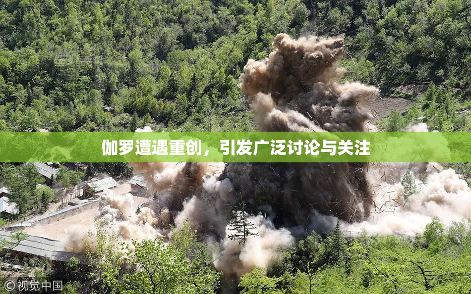 伽罗遭遇重创，引发广泛讨论与关注