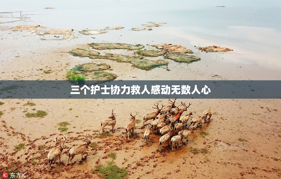 三个护士协力救人感动无数人心
