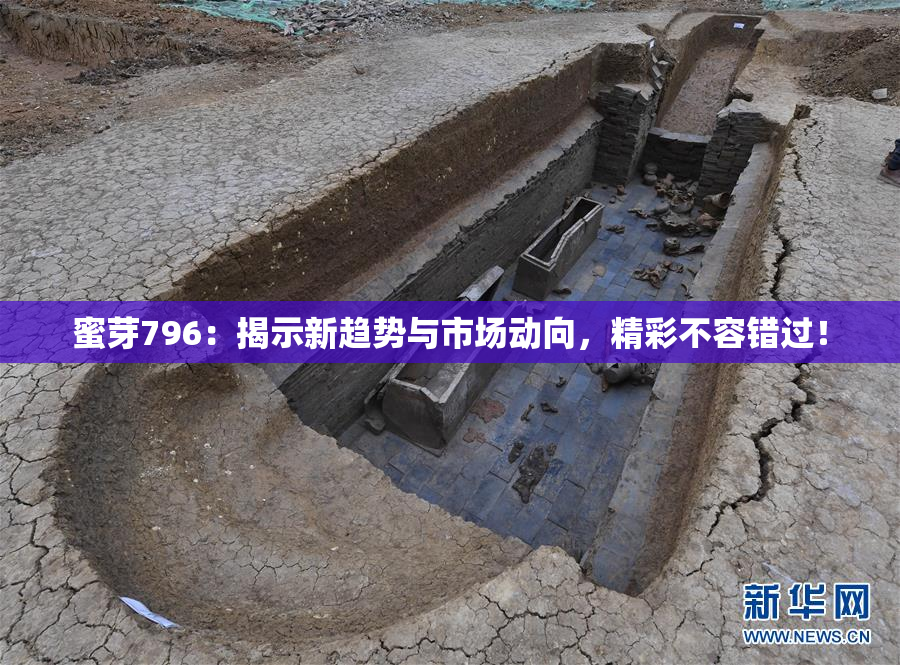 蜜芽796：揭示新趋势与市场动向，精彩不容错过！