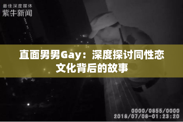 直面男男Gay：深度探讨同性恋文化背后的故事