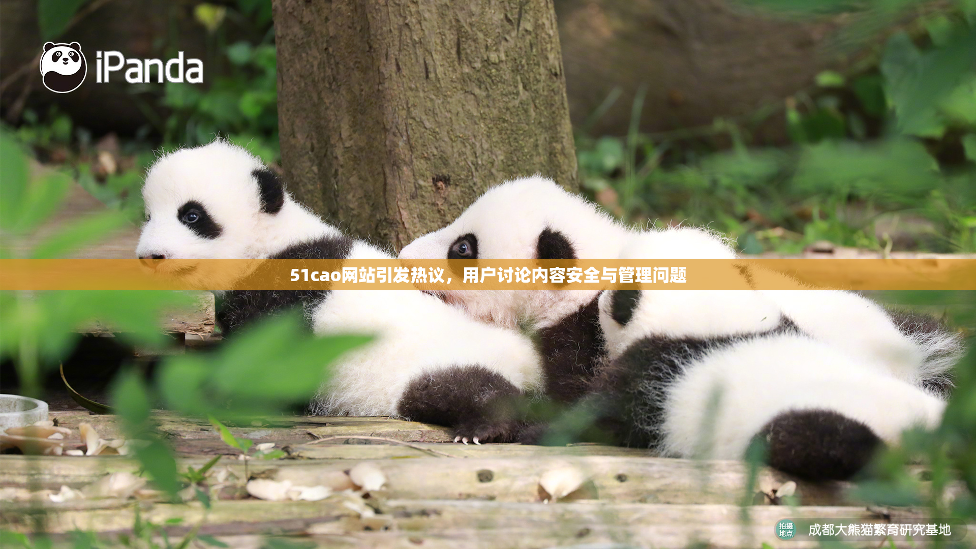 51cao网站引发热议，用户讨论内容安全与管理问题