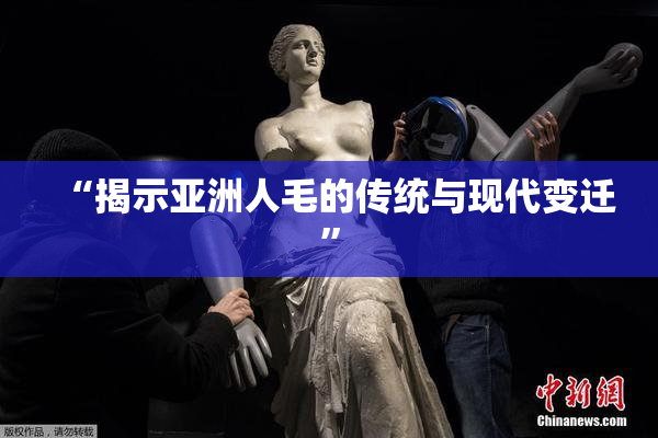 “揭示亚洲人毛的传统与现代变迁”