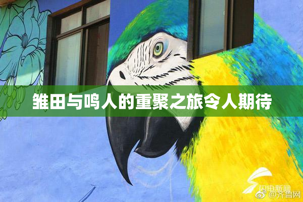 雏田与鸣人的重聚之旅令人期待
