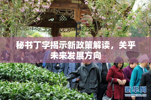 秘书丁字揭示新政策解读，关乎未来发展方向