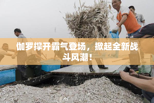 伽罗撑开霸气登场，掀起全新战斗风潮！