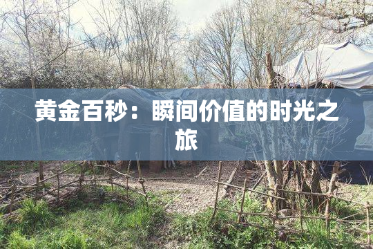 黄金百秒：瞬间价值的时光之旅