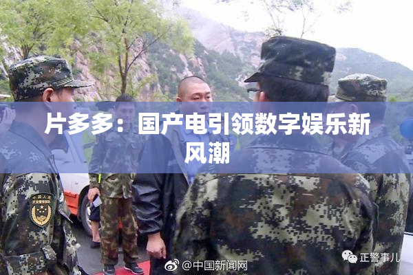 片多多：国产电引领数字娱乐新风潮