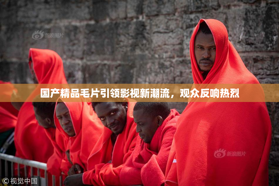 国产精品毛片引领影视新潮流，观众反响热烈