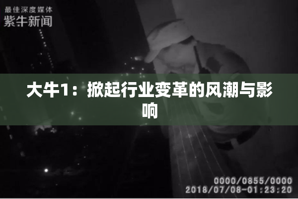 大牛1：掀起行业变革的风潮与影响