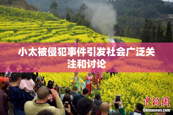 小太被侵犯事件引发社会广泛关注和讨论