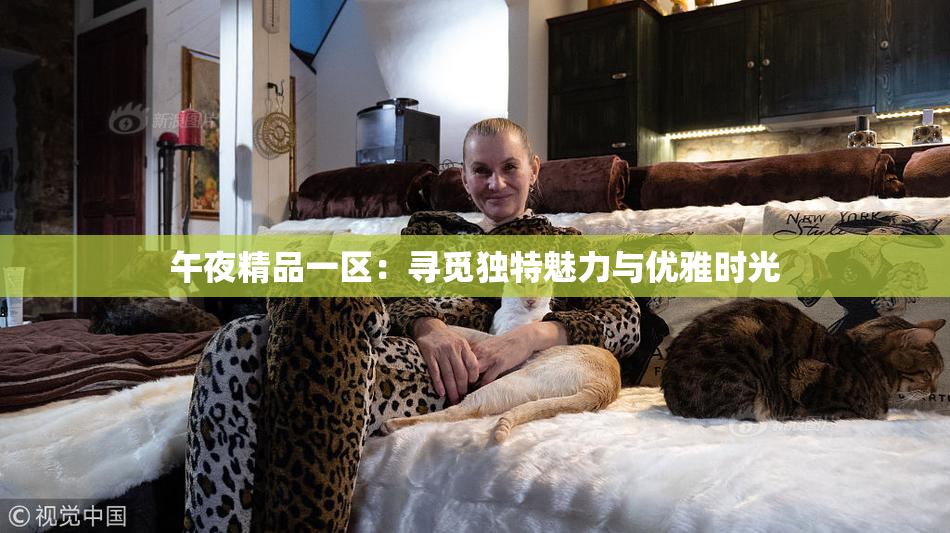 午夜精品一区：寻觅独特魅力与优雅时光