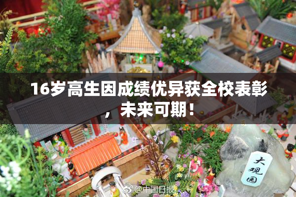 16岁高生因成绩优异获全校表彰，未来可期！