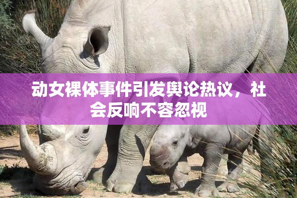 动女裸体事件引发舆论热议，社会反响不容忽视