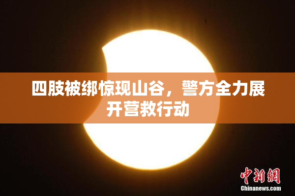 四肢被绑惊现山谷，警方全力展开营救行动