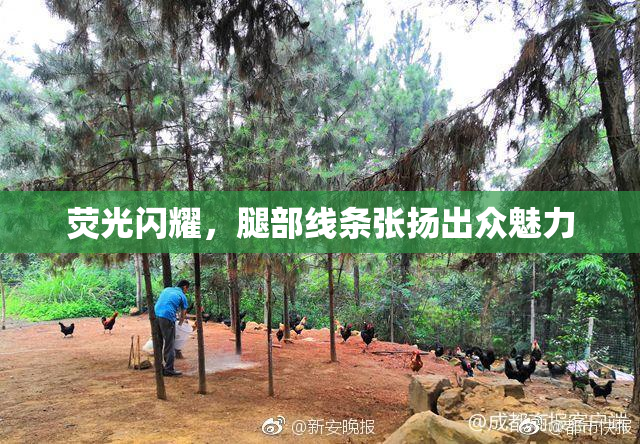 荧光闪耀，腿部线条张扬出众魅力