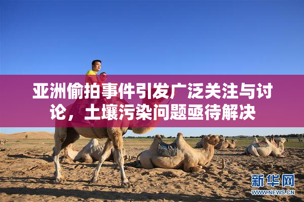 亚洲偷拍事件引发广泛关注与讨论，土壤污染问题亟待解决