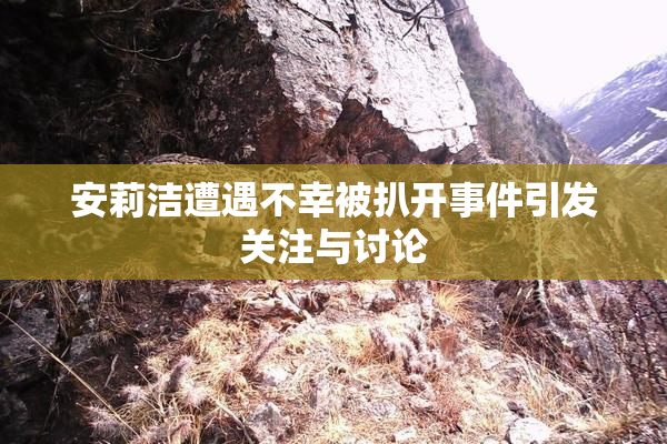 安莉洁遭遇不幸被扒开事件引发关注与讨论