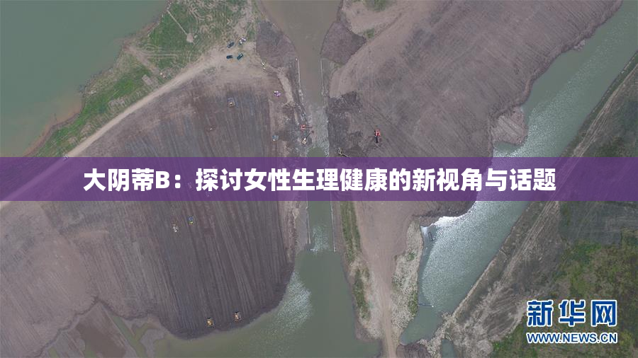大阴蒂B：探讨女性生理健康的新视角与话题