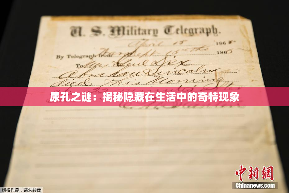尿孔之谜：揭秘隐藏在生活中的奇特现象