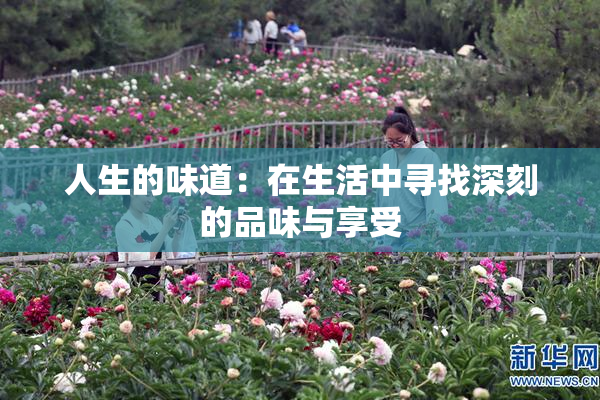 人生的味道：在生活中寻找深刻的品味与享受