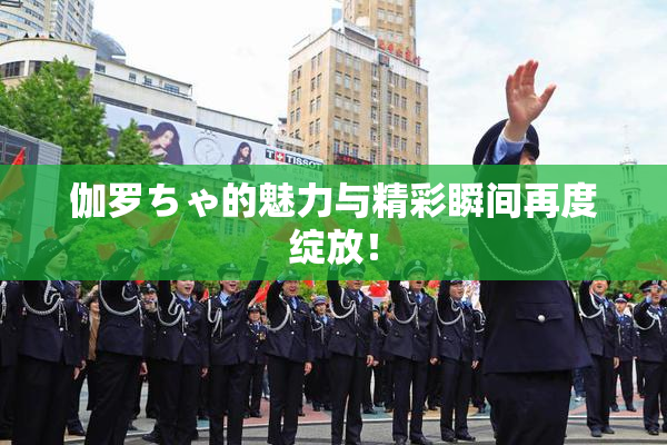 伽罗ちゃ的魅力与精彩瞬间再度绽放！