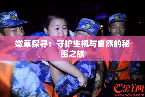 嫩草探寻：守护生机与自然的秘密之旅