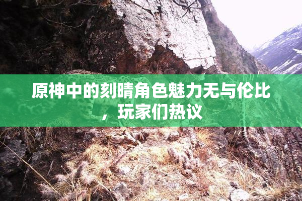 原神中的刻晴角色魅力无与伦比，玩家们热议