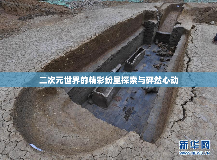 二次元世界的精彩纷呈探索与砰然心动