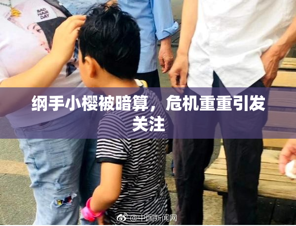 纲手小樱被暗算，危机重重引发关注