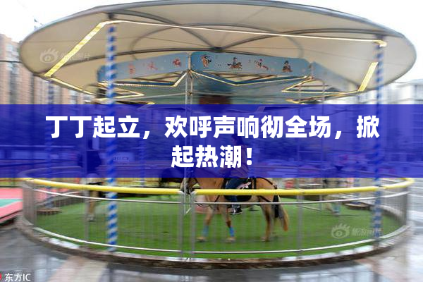 丁丁起立，欢呼声响彻全场，掀起热潮！