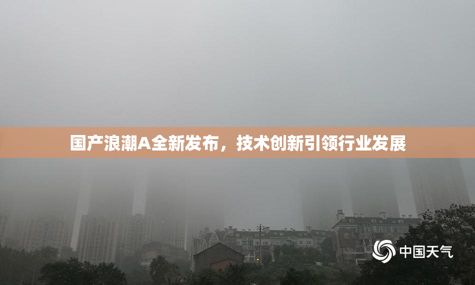 国产浪潮A全新发布，技术创新引领行业发展