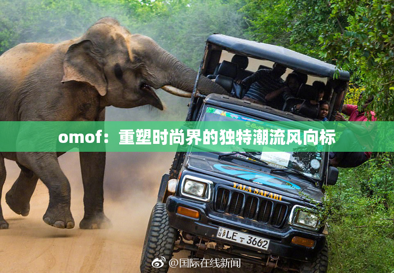 omof：重塑时尚界的独特潮流风向标