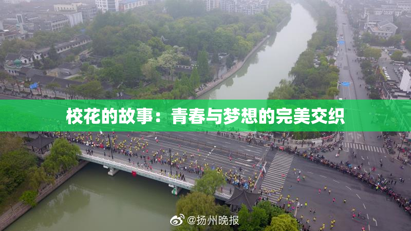 校花的故事：青春与梦想的完美交织
