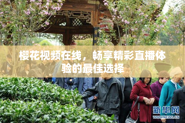 樱花视频在线，畅享精彩直播体验的最佳选择