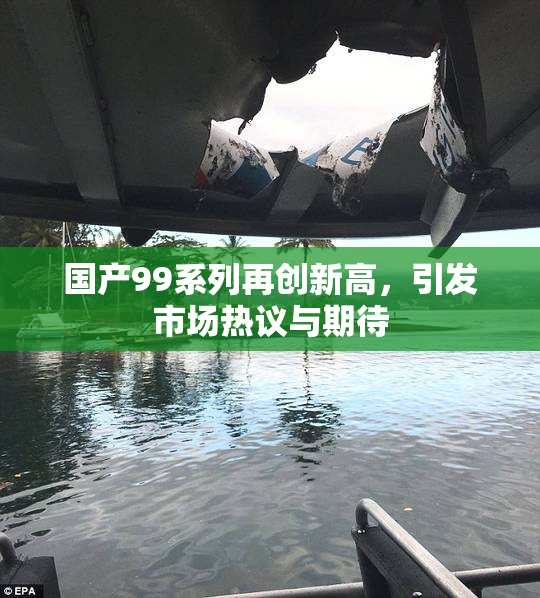 国产99系列再创新高，引发市场热议与期待