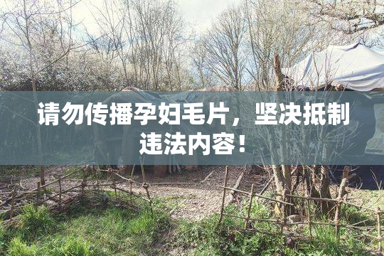 请勿传播孕妇毛片，坚决抵制违法内容！