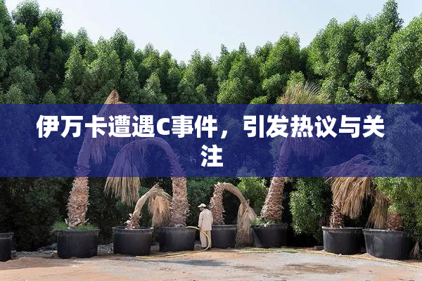 伊万卡遭遇C事件，引发热议与关注