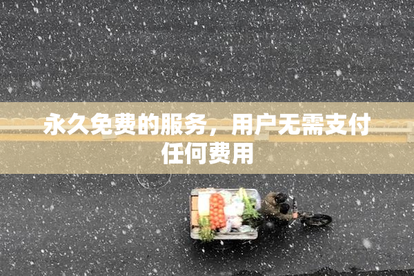 永久免费的服务，用户无需支付任何费用