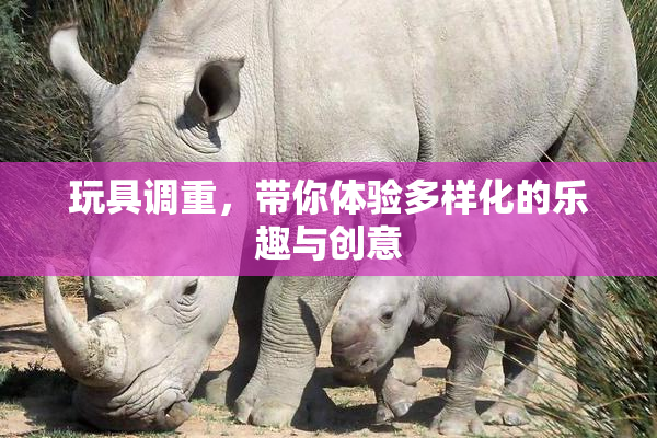 玩具调重，带你体验多样化的乐趣与创意