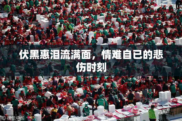 伏黑惠泪流满面，情难自已的悲伤时刻
