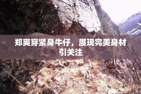 郑爽穿紧身牛仔，展现完美身材引关注