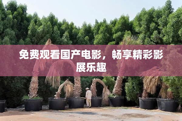 免费观看国产电影，畅享精彩影展乐趣
