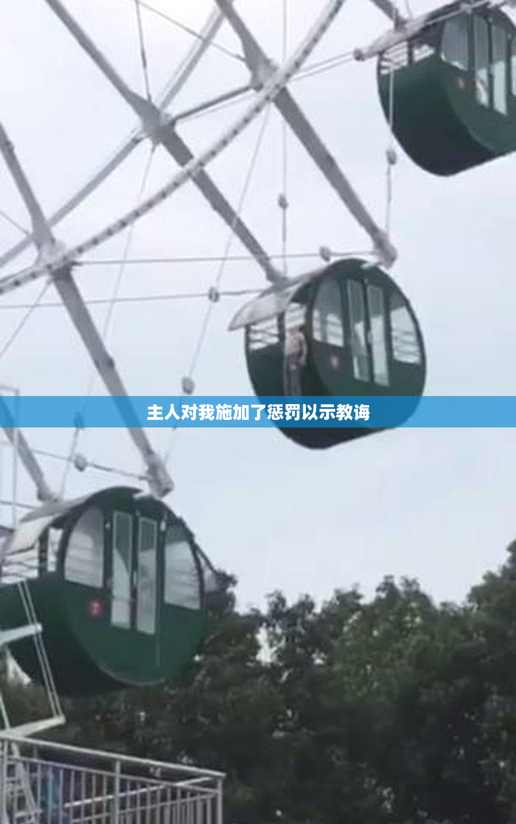 主人对我施加了惩罚以示教诲