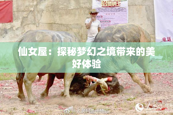 仙女屋：探秘梦幻之境带来的美好体验